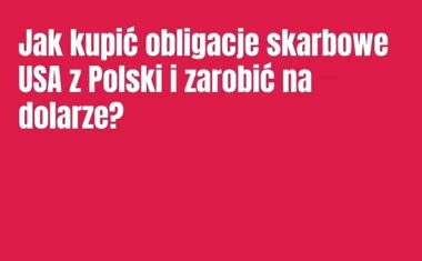 Obraz do artykułu: Jak kupić obligacje skarbowe USA z Polski i zarobić na dolarze?