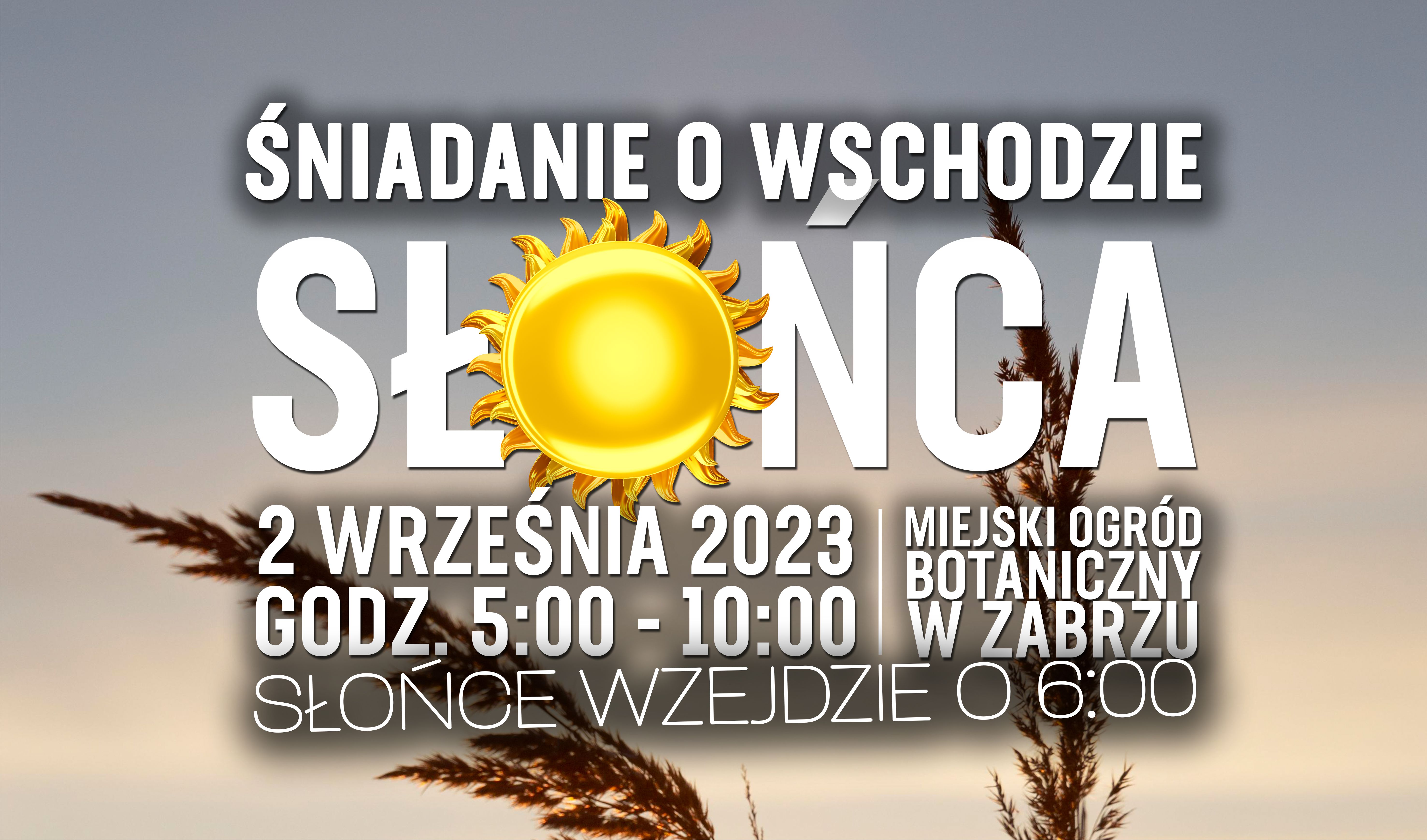 baner promujący 