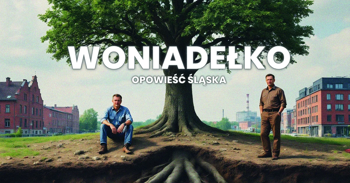 Grafika promocyjna wydarzenia Plenerowy pokaz animacji śląskiej w Zabrzu
