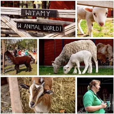 Grafika promocyjna wydarzenia Dzień miłośników Zoo w AnimalWorld — zostań krótkotrwale opiekunem zwierząt