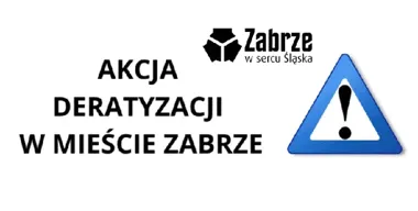 W Zabrzu rusza obowiązkowe odszczurzanie. Są terminy i surowe zasady