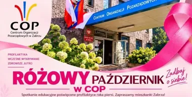 Różowe „Cycuszki” i spotkanie w Zabrzu przypominają o profilaktyce raka piersi