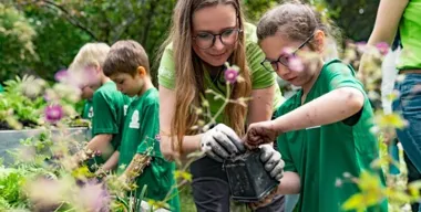 Deszcz zamiast kałuż Metropolia uczy, jak zatrzymać wodę w mieście
