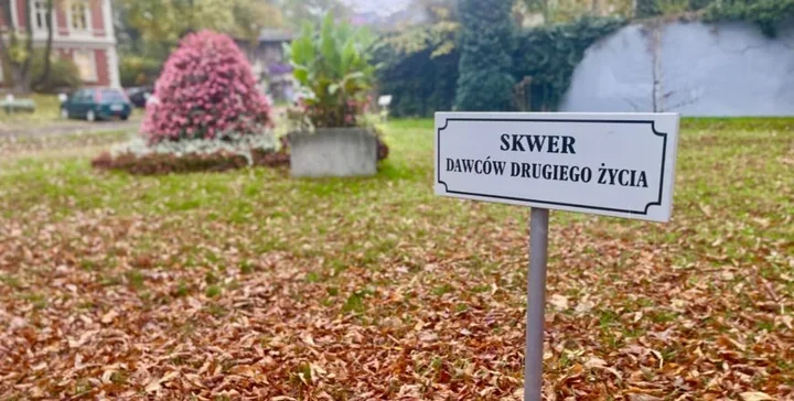 Studenci zaprojektują miejsce pamięci dawców. Zmieni się skwer w Zabrzu