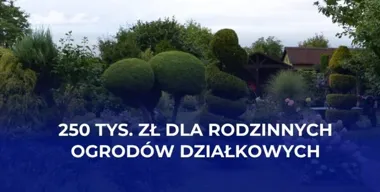 Działki w Zabrzu dostaną zastrzyk gotówki, który zmieni ich zielone zaplecze