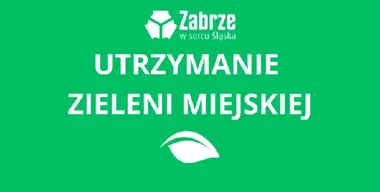 Trawa w Zabrzu wystrzeliła po deszczach. Koszenia ruszają etapami